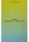 Między źródłem a szczytem