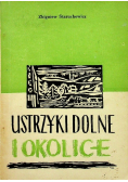 Ustrzyki Dolne i okolice