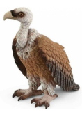 Sęp