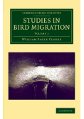 Studies in Bird Migration