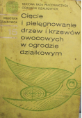 Cięcie i pielęgnowanie drzew i krzewów owocowych w ogrodzie działkowym