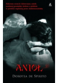 Anioł