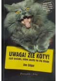 Uwaga Złe koty czyli kociaki które zeszły na złą drogę