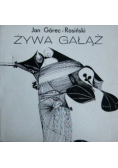 Żywa gałąź