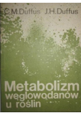 Metabolizm węglowodanów u roślin