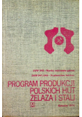 Program produkcji polskich hut żelaza i stali