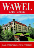 Wawel zamek i katedra