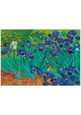 Puzzle 1000 Irysy, Vincent van Gogh