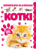 Kotki
