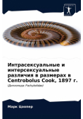 Интрасексуальные и интерсексуальные различия в размерах в Centrobolus Cook, 1897 г.