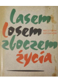 Lasem losem zboczem życia