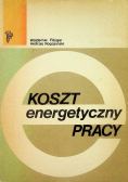 Koszt energetyczny pracy