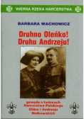 Wierna rzeka harcerstwa tom 1 Druhno Oleńko Druhu Andrzeju