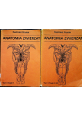 Anatomia zwierząt Tom 1 część 1 do 3