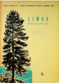 Limba pinus cembra L