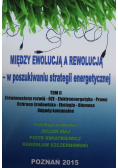 Między ewolucją a rewolucją w poszukiwaniu strategii energetycznej Tom II
