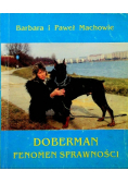 Doberman fenomen sprawności