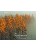Lasy państwowe w 90 odsłonach