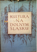 Kultura na Dolnym Śląsku