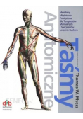 Taśmy anatomiczne