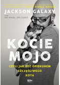 Kocie mojo
