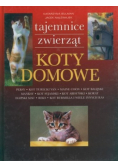 Koty domowe