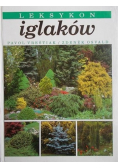 Leksykon iglaków