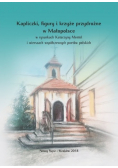 Kapliczki figury i krzyże przydrożne w Małopolsce