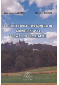 Geologia i bogactwa mineralne Górnego Śląska