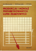 Produkcja i montaż prefabrykowanych łupin żelbetowych