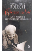 Ciemna miłość