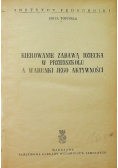 Kierowanie zabawą dziecka w przedszkolu a warunki jego aktywności