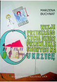 Wizje przyszłego życia dzieci przewlekle chorych na Cukrzyce