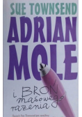 Adrian Mole i broń masowego rażenia