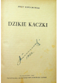 Dzikie kaczki