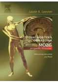 Mózg