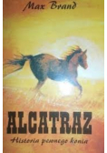 Alcatraz, historia pewnego konia