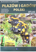 Ilustrowana encyklopedia płazów i gadów Polski