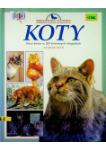 Koty