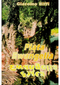 Piąta Ewangelia