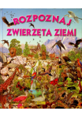 Rozpoznaj zwierzęta ziemi
