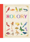 Kolory
