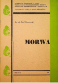 Morwa