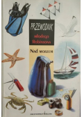 Przewodnik młodego Robinsona Nad Morzem