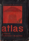 Atlas Grzybów Jadalnych i Trujących