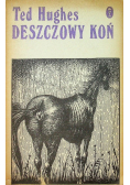 Deszczowy koń