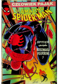 The amazing Spiderman nr 6 / 1991