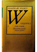 Witkiewicz Dzieła wybrane II
