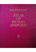 Atlas of human anatomy tom II