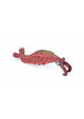 Anomalocaris